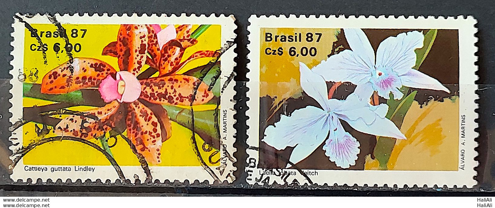 C 1572 Brazil Stamp 50 Years Brazilian Society For Orquidaphic Flora Orquidea 1987 Complete Series Circulated 3 - Usati