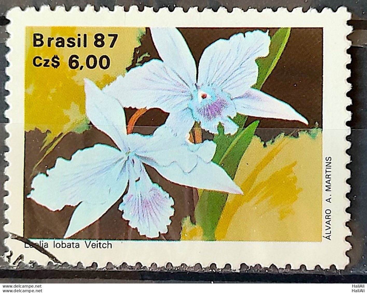 C 1573 Brazil Stamp 50 Years Brazilian Society For Orquidaphic Flora Orquidea 1987 Circulated 1 - Used Stamps