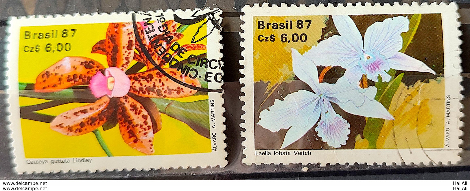 C 1572 Brazil Stamp 50 Years Brazilian Society For Orquidaphic Flora Orquidea 1987 Complete Series Circulated 2 - Gebruikt