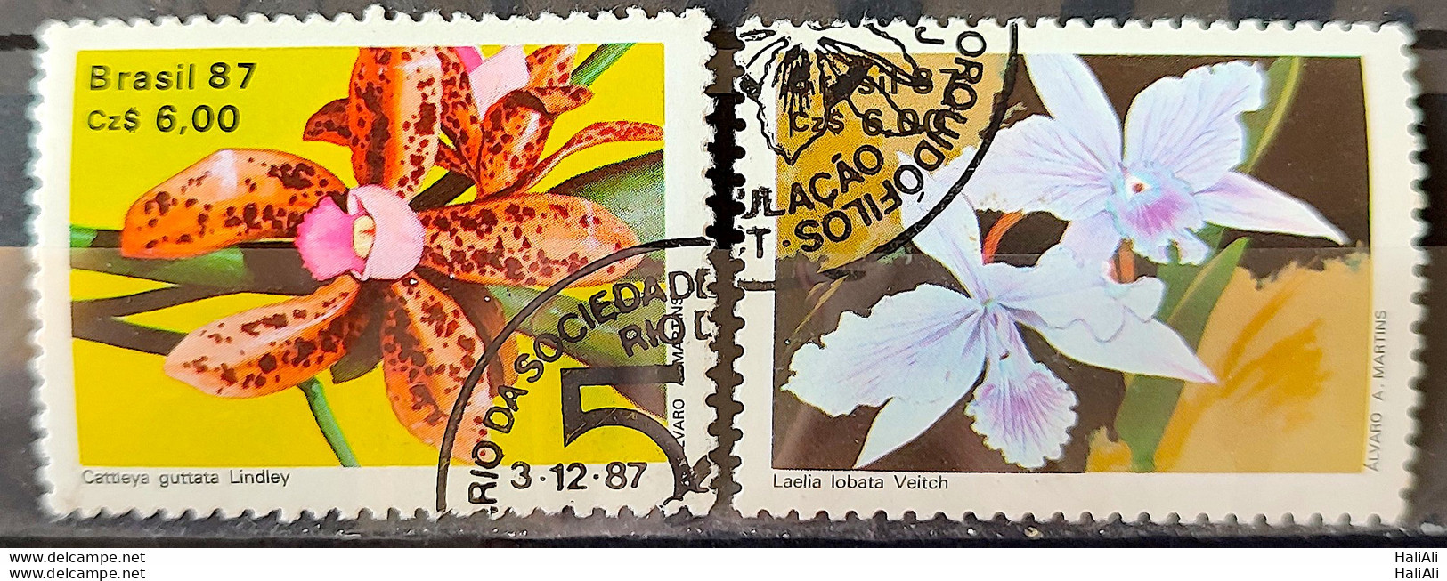 C 1572 Brazil Stamp 50 Years Brazilian Society For Orquidaphic Flora Orquidea 1987 Complete Series Circulated 1 - Gebruikt