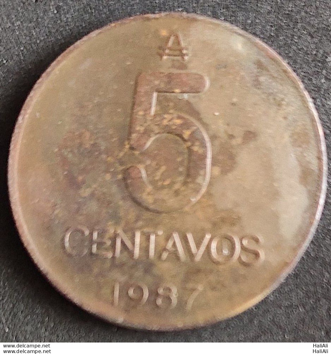 Coin Argentina Moeda Argentina 1987 5 Centavos 1 - Argentine