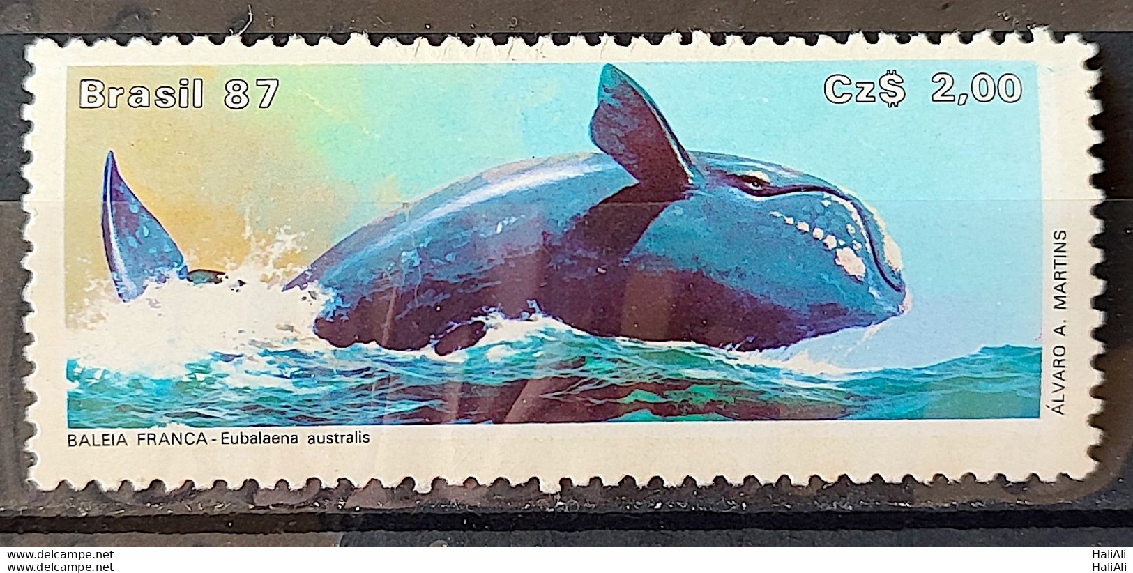 C 1550 Brazil Stamp Brazilian Fauna Whale Frank 1987 1 - Ungebraucht