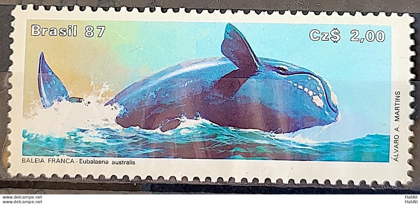 C 1550 Brazil Stamp Brazilian Fauna Whale Frank 1987 - Ongebruikt