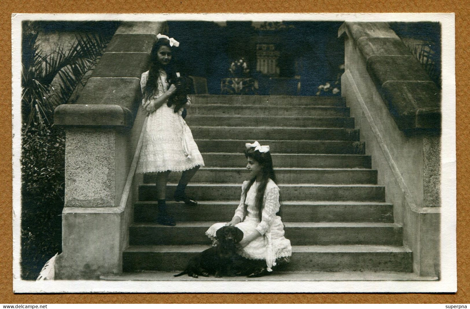 CHATEAU DE BERG : " PRINCESSE ELISABETH & SOPHIE "  Carte Photo 1913 - Koninklijke Familie