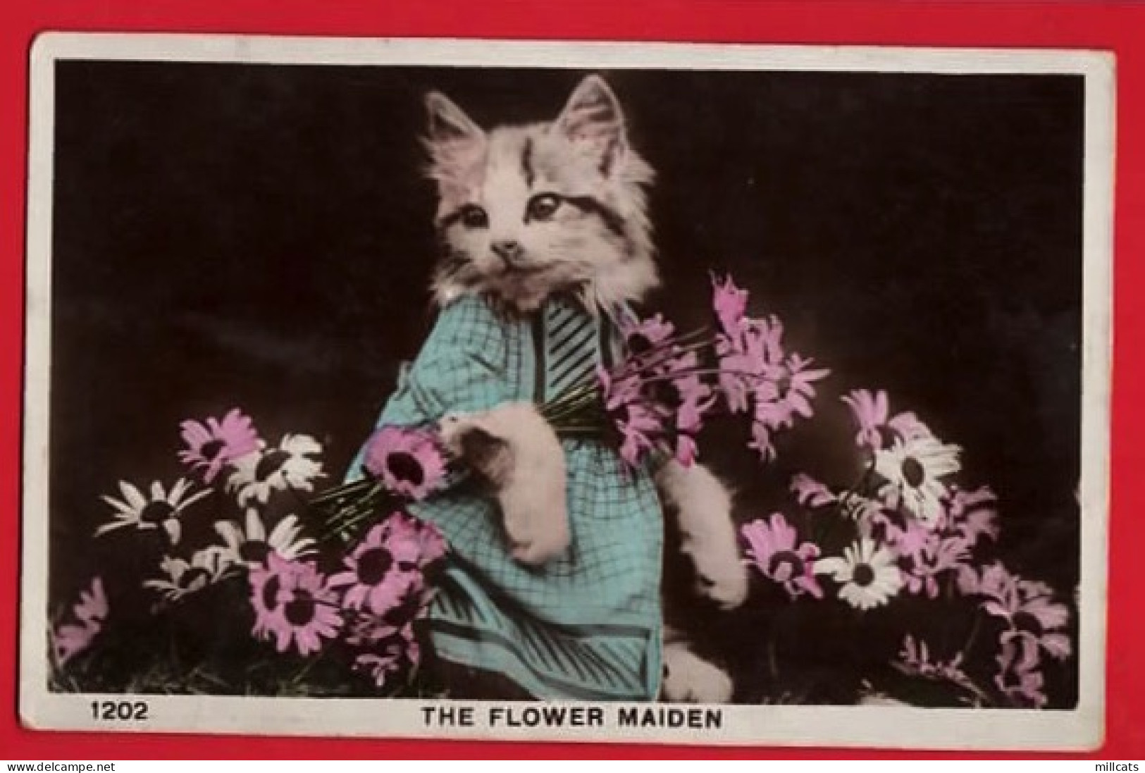 CATS   DRESSED IN BLUE GOWN   THE FLOWER MAIDEN   RP - Katzen