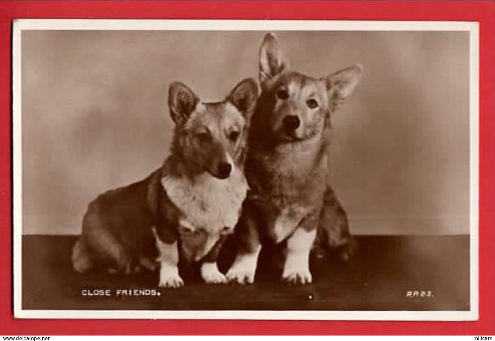 DOGS CHIENS  CORGI   RP Pu  1954  CLOSE FRIENDS  LES AMIS - Dogs