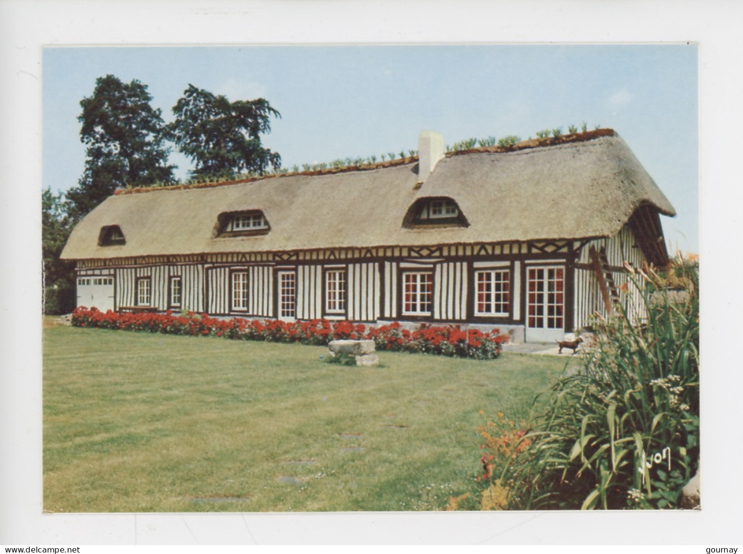 Luxuriante Normandie : Une Chaumière Et Des Fleurs (cp Vierge N°2371 Yvon) - Basse-Normandie