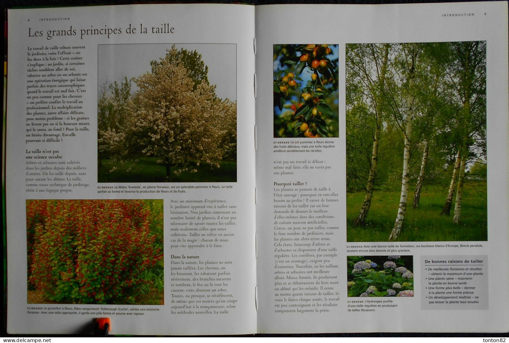 Guide Complet de LA TAILLE - Arbres fruitiers - Haies - Plantes grimpantes .... - Sélection du Reader's Digest - (2006 )