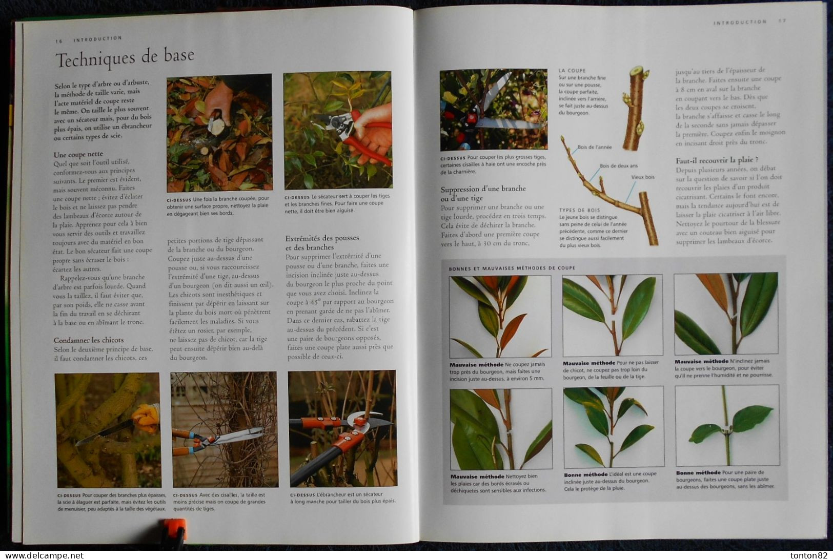 Guide Complet de LA TAILLE - Arbres fruitiers - Haies - Plantes grimpantes .... - Sélection du Reader's Digest - (2006 )