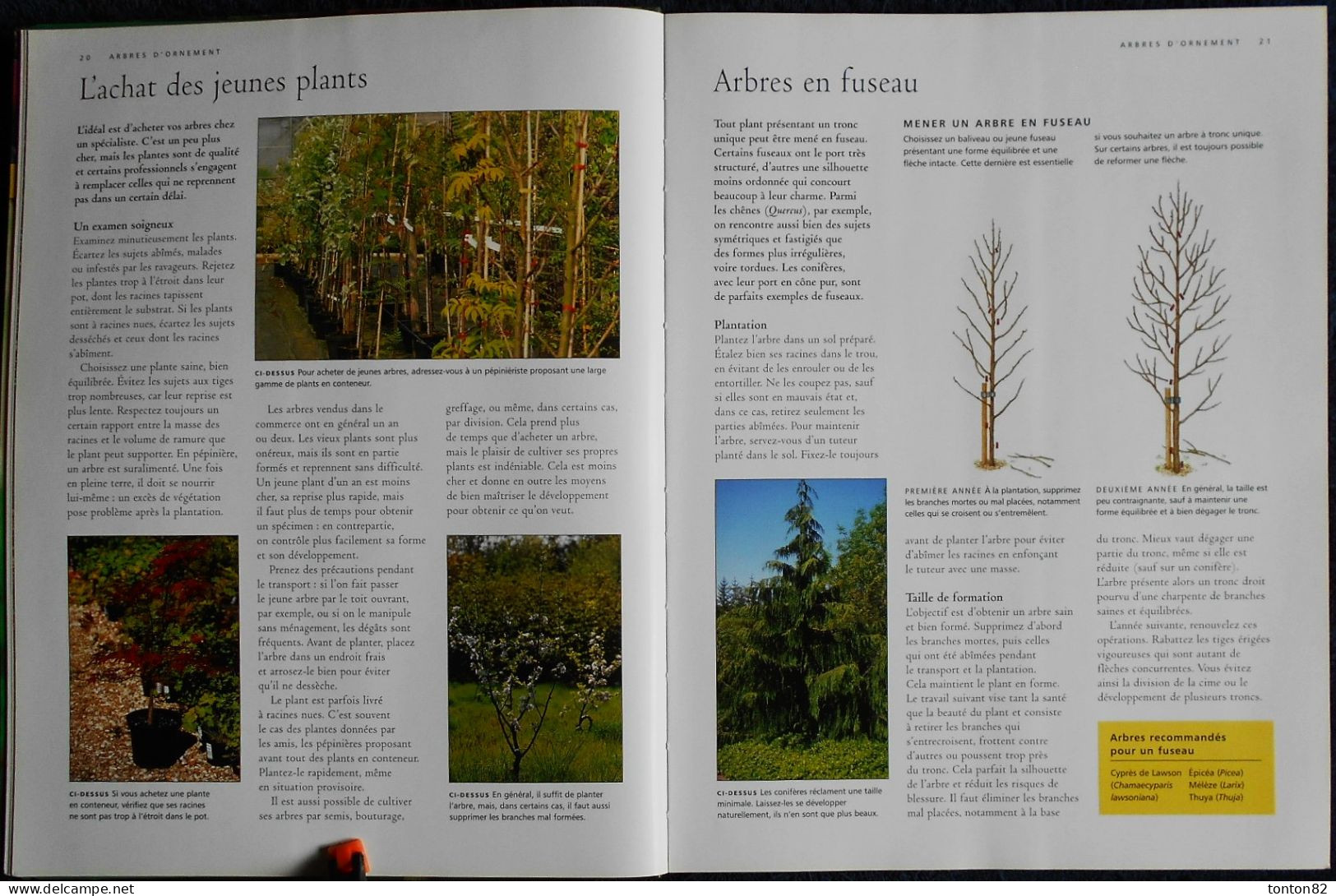 Guide Complet de LA TAILLE - Arbres fruitiers - Haies - Plantes grimpantes .... - Sélection du Reader's Digest - (2006 )