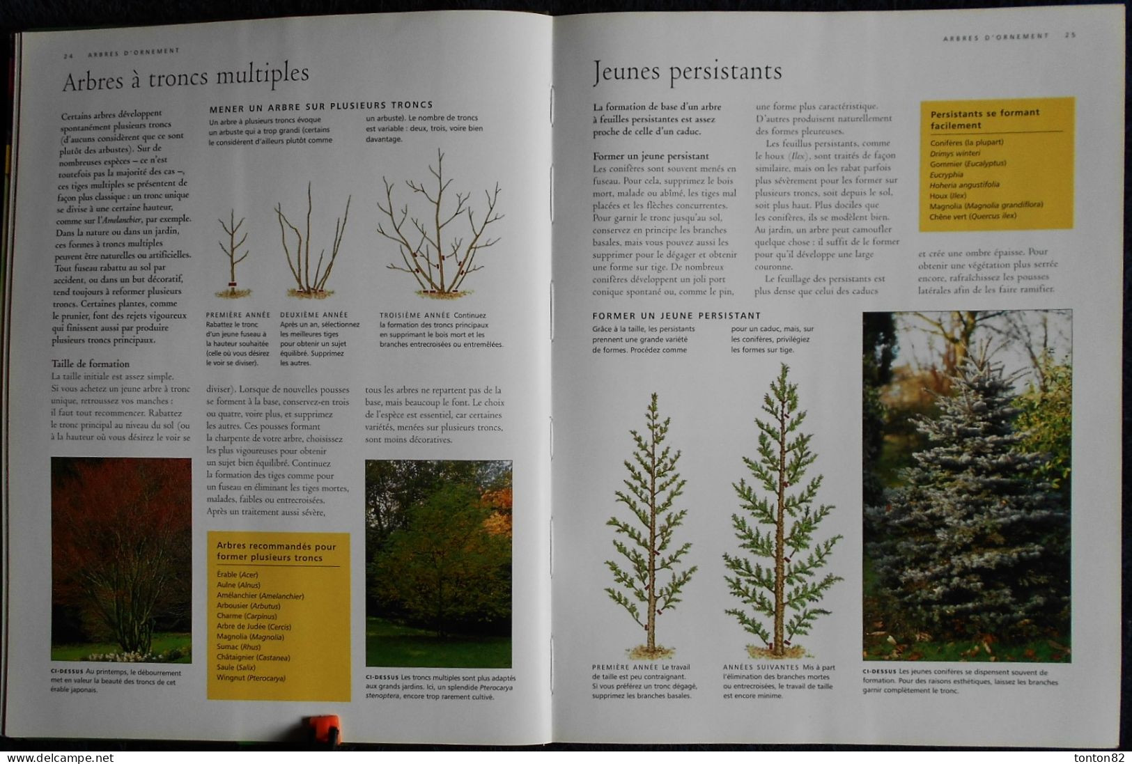 Guide Complet de LA TAILLE - Arbres fruitiers - Haies - Plantes grimpantes .... - Sélection du Reader's Digest - (2006 )