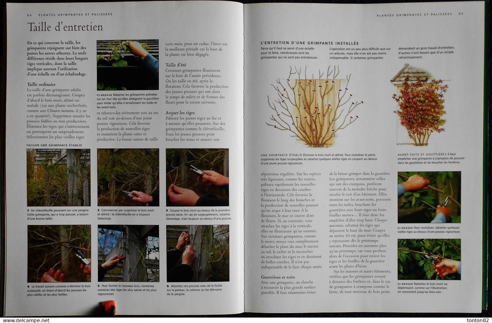 Guide Complet de LA TAILLE - Arbres fruitiers - Haies - Plantes grimpantes .... - Sélection du Reader's Digest - (2006 )