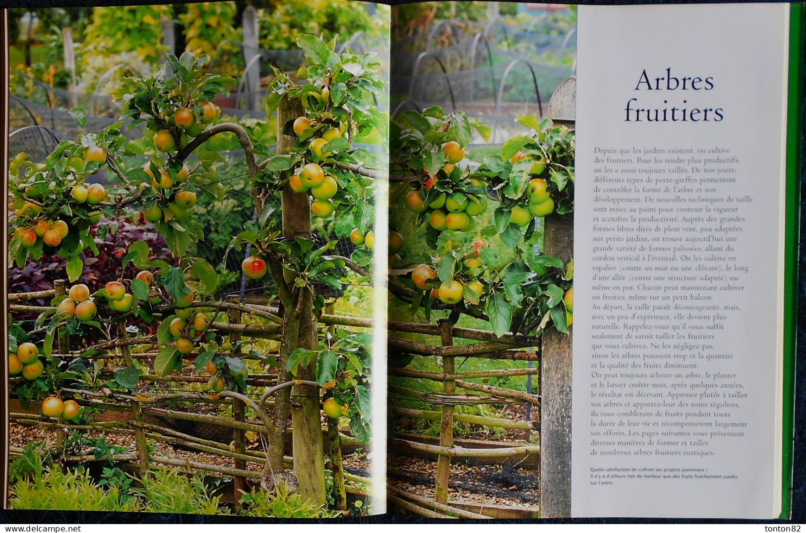 Guide Complet de LA TAILLE - Arbres fruitiers - Haies - Plantes grimpantes .... - Sélection du Reader's Digest - (2006 )