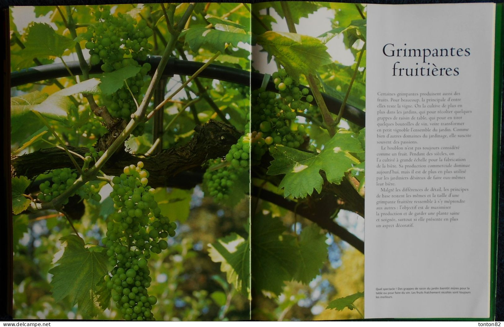 Guide Complet de LA TAILLE - Arbres fruitiers - Haies - Plantes grimpantes .... - Sélection du Reader's Digest - (2006 )