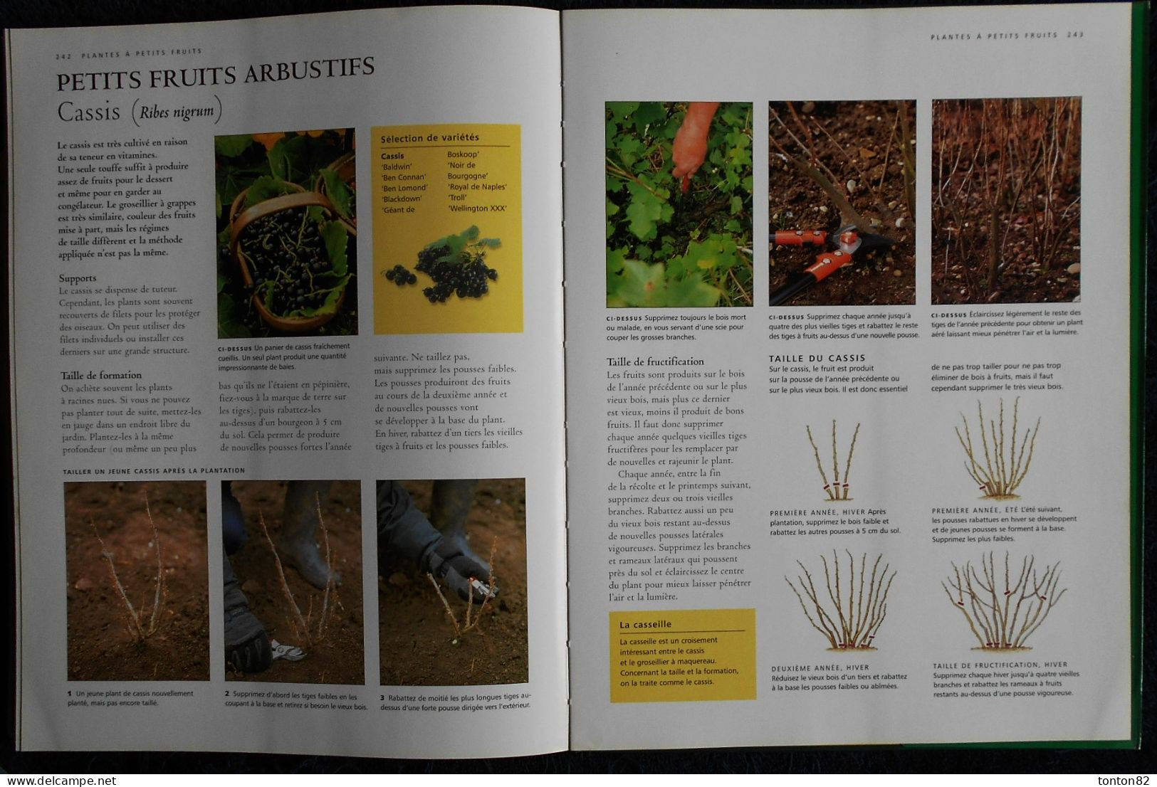 Guide Complet de LA TAILLE - Arbres fruitiers - Haies - Plantes grimpantes .... - Sélection du Reader's Digest - (2006 )