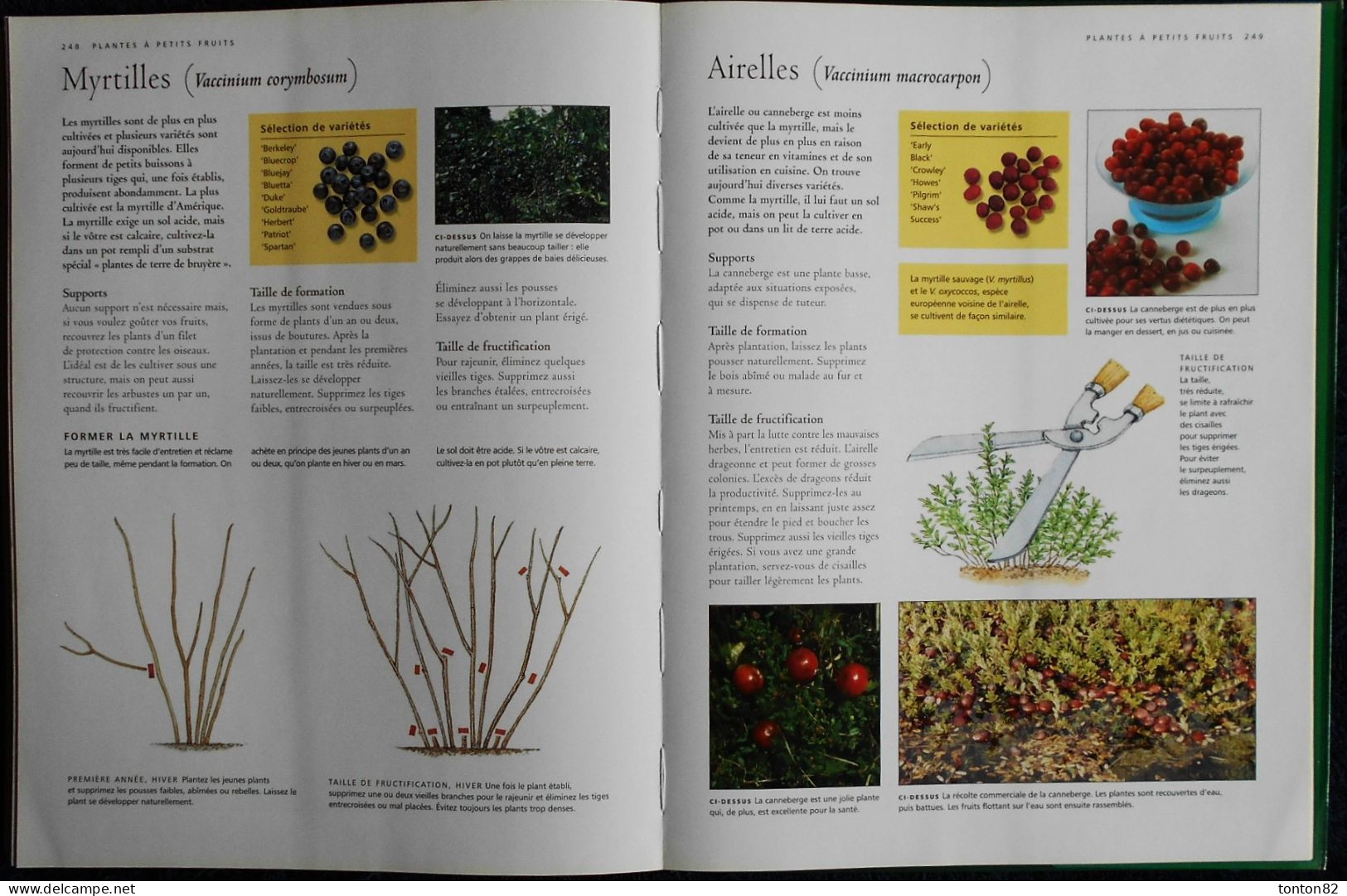 Guide Complet de LA TAILLE - Arbres fruitiers - Haies - Plantes grimpantes .... - Sélection du Reader's Digest - (2006 )