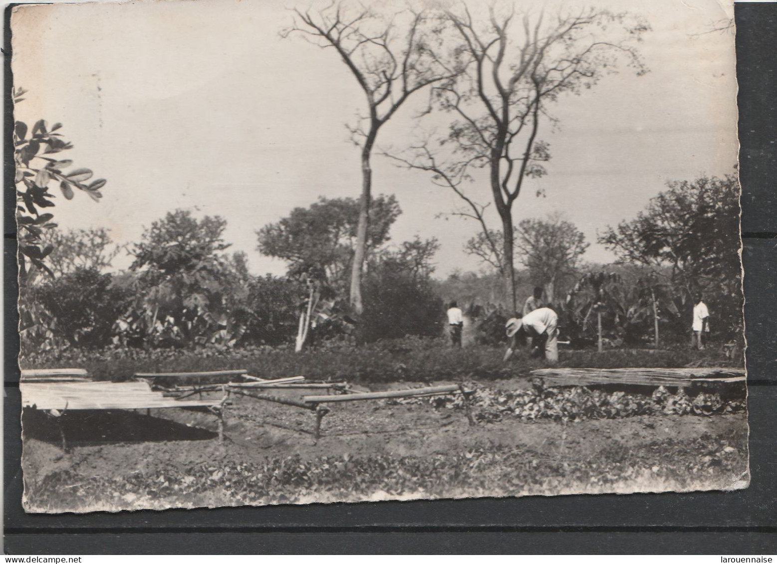 Dahomey - PARAKOU - Monastère Cistercien - L' Etoile Notre Dame - Le Jardin Du Marigot - Dahomey