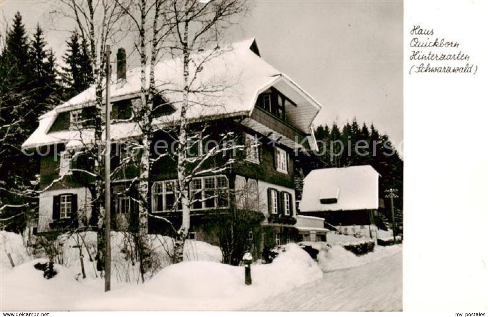 73792400 Hinterzarten Haus Quickborn Aussenansicht Schnee Winter Hinterzarten - Hinterzarten