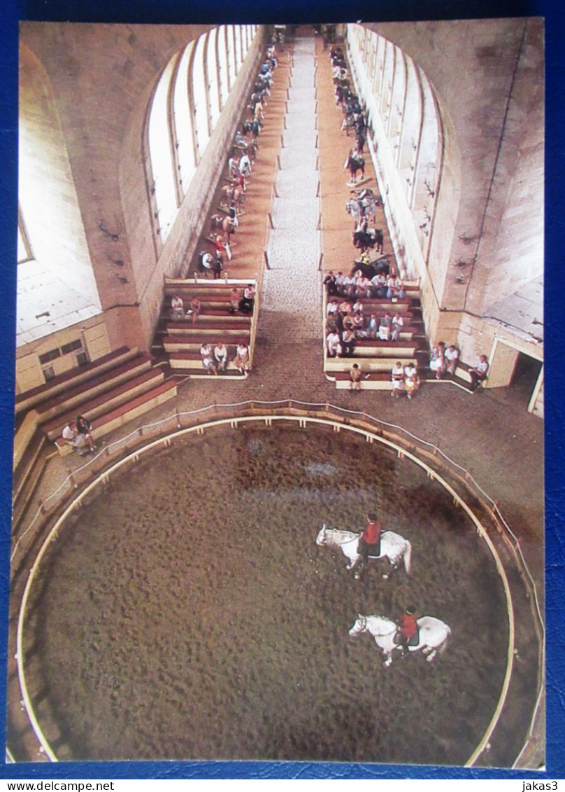 CPM CARTE POSTALE  MUSÉE VIVANT DU CHEVAL DE CHANTILLY  (OISE  - 60   ) - Horses