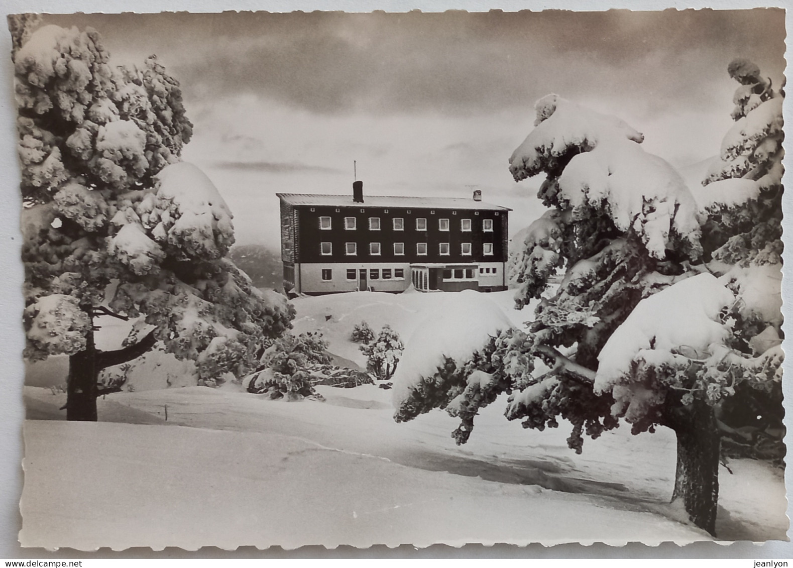 SAINT NIZIER DU MOUCHEROTTE (38 Isère) - Hotel De L'Hermitage Sous La Neige - Otros & Sin Clasificación