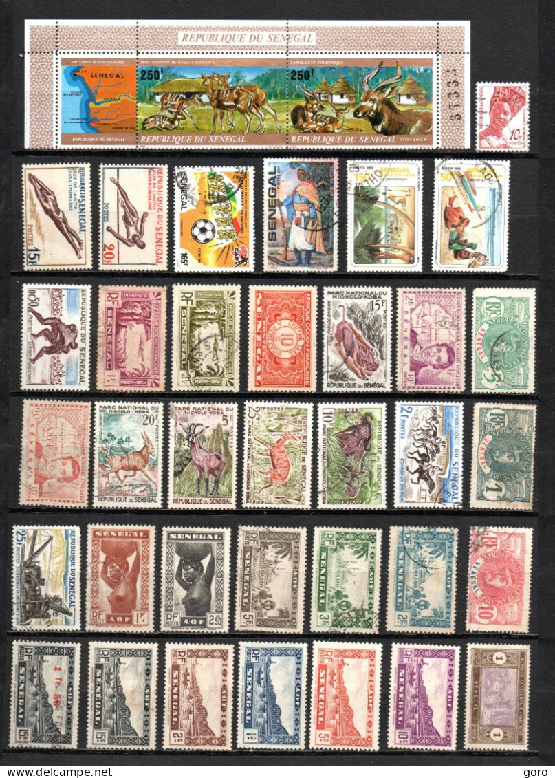 Senegal  .-   Lote  Nº   31  .-   37   Sellos - Sénégal (1960-...)