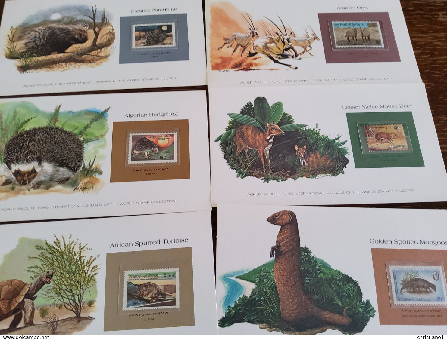 WWF Lot De 48 Cartes Avec Textes En Anglais  Et En Français - Unused Stamps