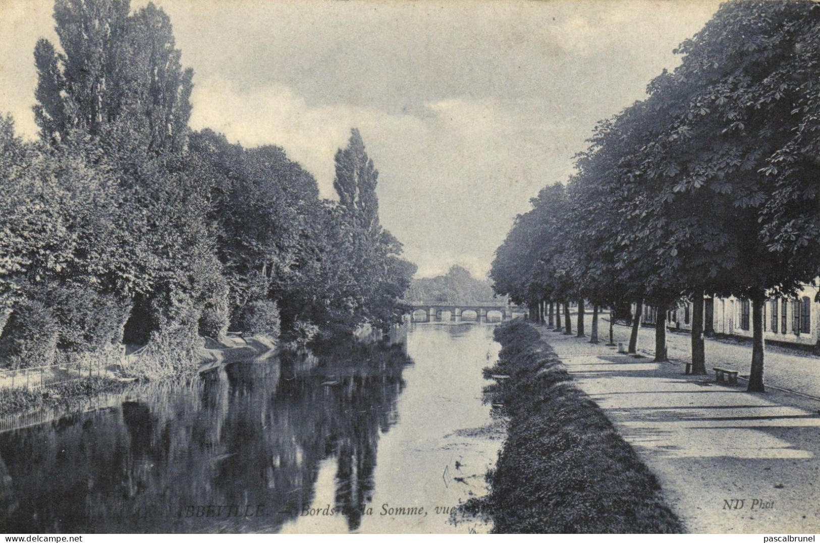 ABBEVILLE - BORDS DE LA SOMME - Abbeville