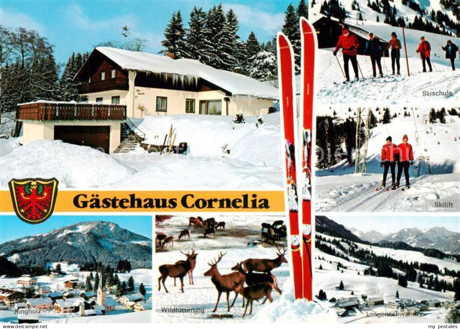 73791439 Jungholz Tirol AT Gaestehaus Cornelia Panorama Wildfuetterung Skischule - Other & Unclassified