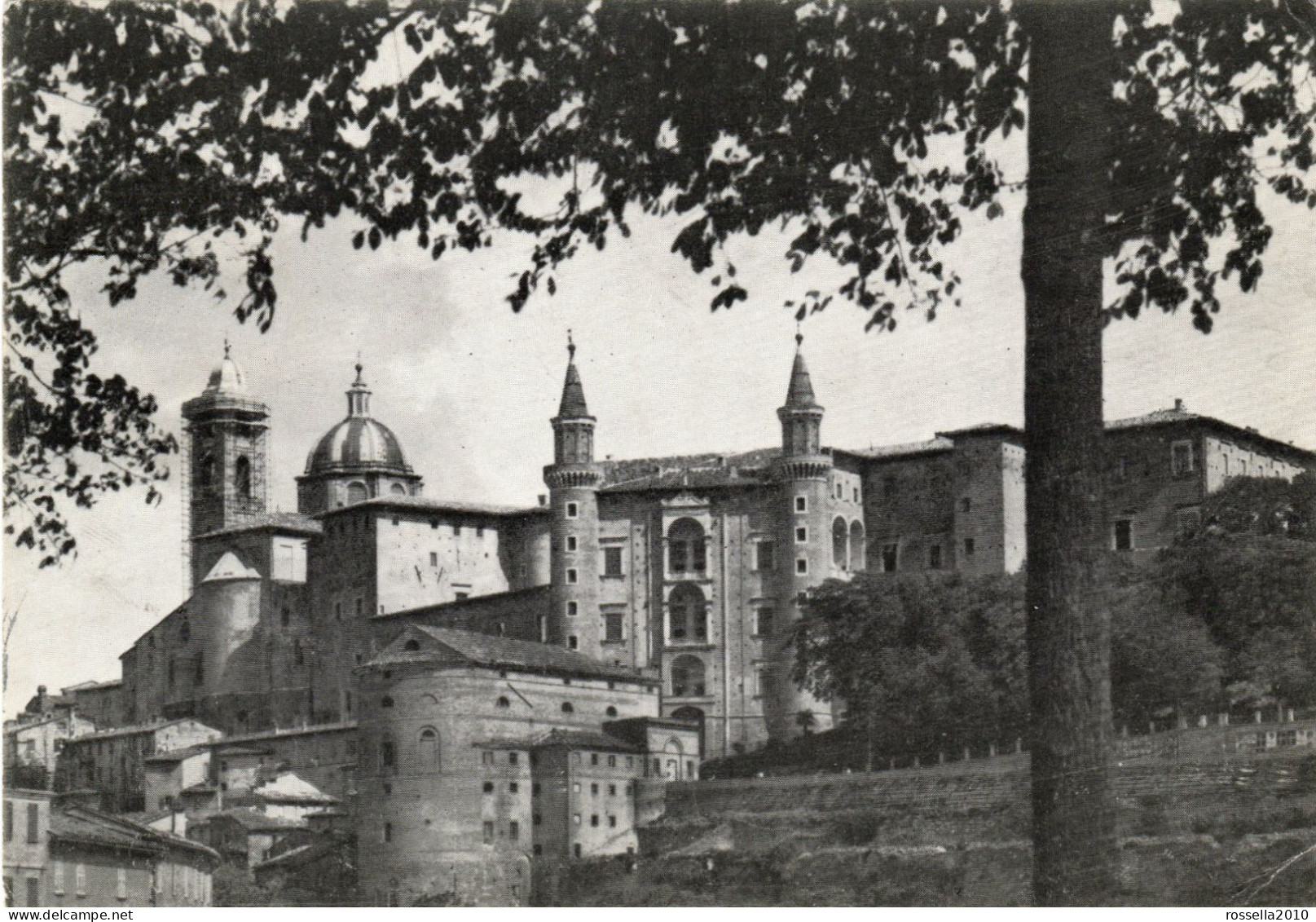 CARTOLINA ITALIA URBINO COMMEMORATIVA XI SETTIMANA STUDENTI 1964 ITALY POSTCARD ITALIEN Ansichtskarten - Urbino