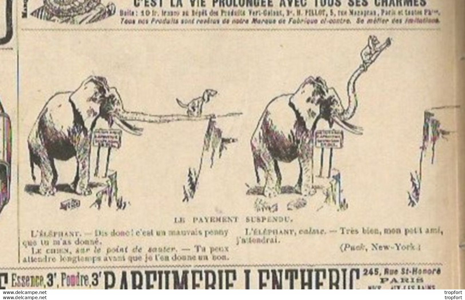 B1 // Old Newspaper // LE RIRE JOURNAL 1896 Couverture Thème POMPIER Casque Feu BSPP Publicités GIRAFE Elephant - Other & Unclassified