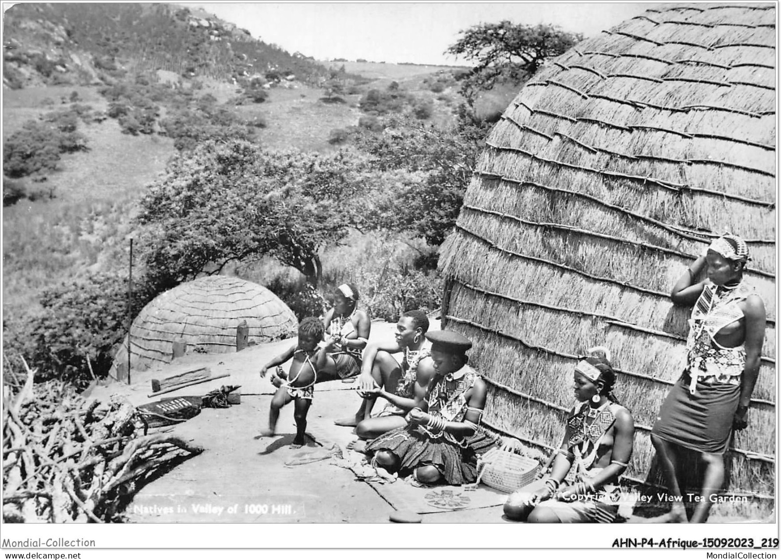 AHNP4-0499 - AFRIQUE - Natives In Valley Of 1000 Hill - South Africa