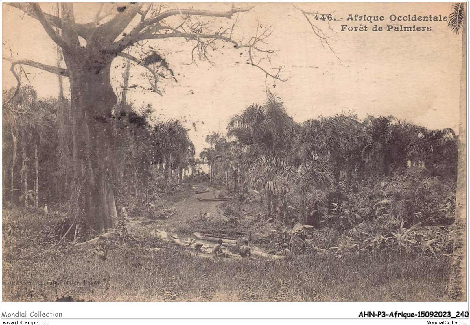 AHNP3-0390 - AFRIQUE - AFRIQUE OCCIDENTALE - Forêt De Palmiers - Unclassified
