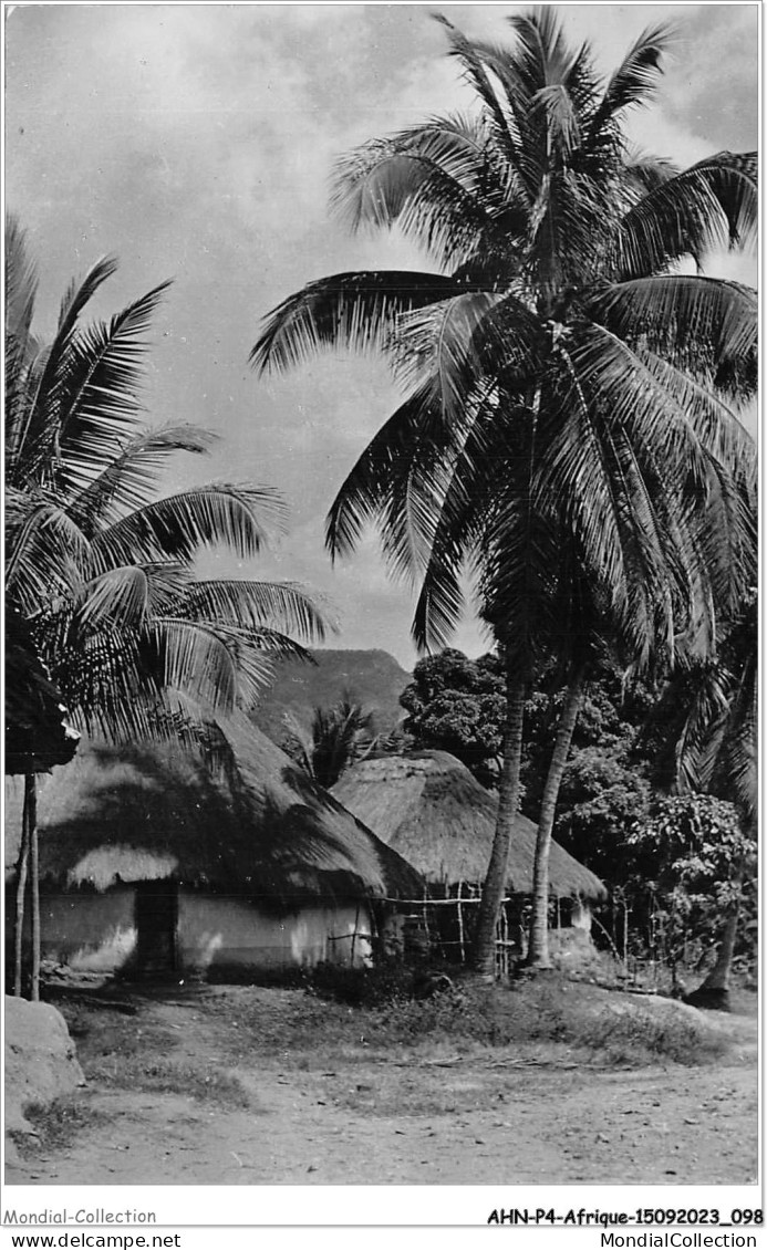 AHNP4-0440 - AFRIQUE - GUINEE - Cases Sous Les Palmes - Guinee