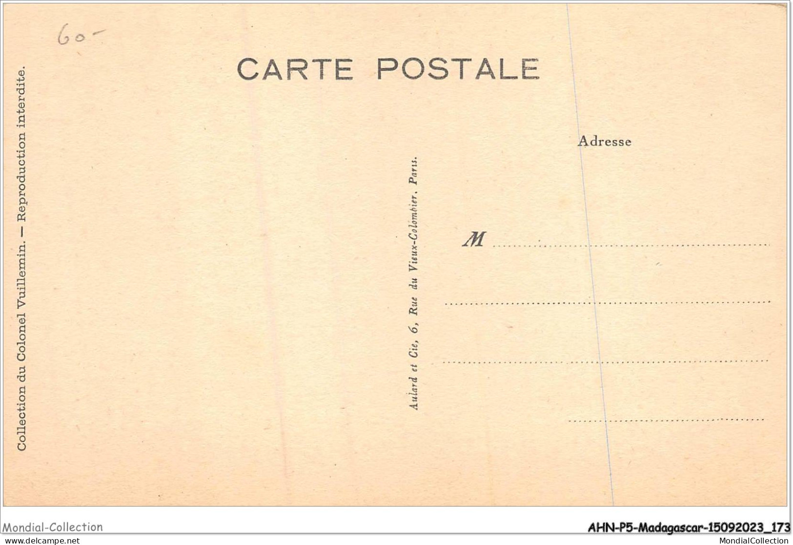 AHNP5-0591 - AFRIQUE - MADAGASCAR - Forêt De Ravenale  - Madagascar