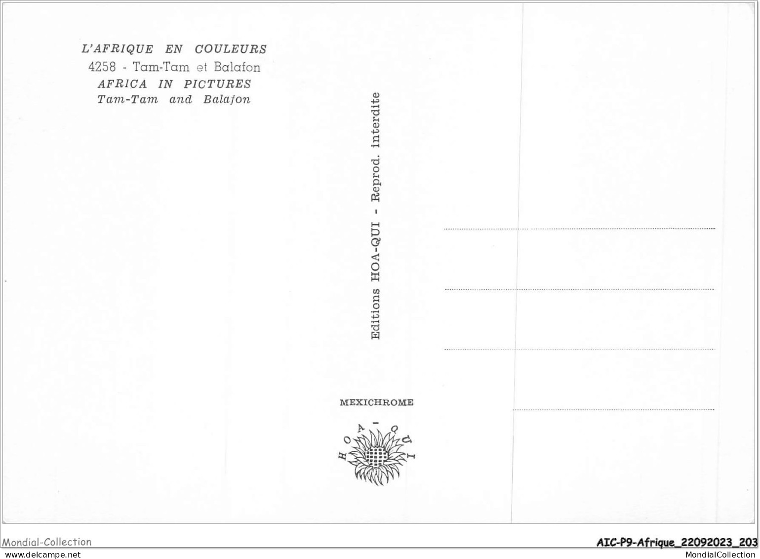 AICP9-AFRIQUE-1064 - L'AFRIQUE EN COULEURS - Tam-tam Et Balafon - Ohne Zuordnung