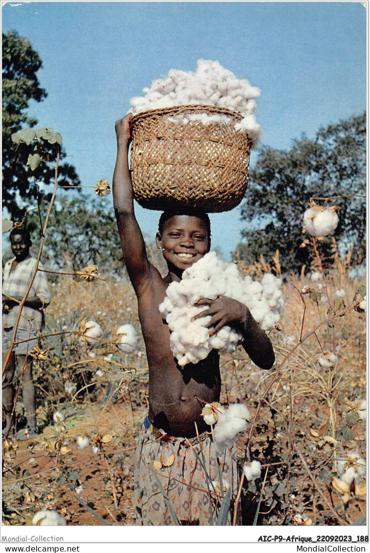 AICP9-AFRIQUE-1057 - AFRIQUE EN COULEURS - Récolte Du Coton - Ohne Zuordnung