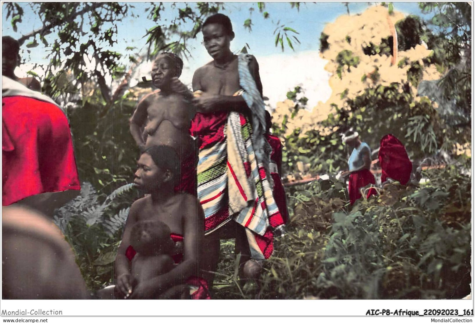 AICP8-AFRIQUE-0935 - AFRICOLOR - En Forêt équatoriale FEMME SEINS NUS - Non Classificati