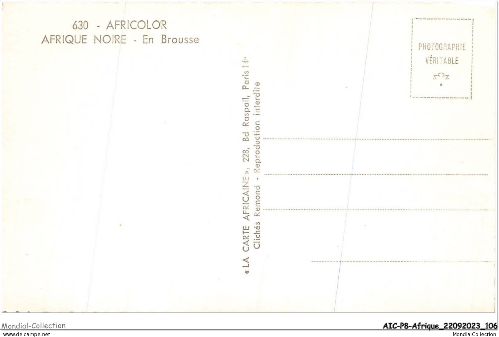 AICP8-AFRIQUE-0907 - AFRICOLOR - AFRIQUE NOIRE - En Brousse - Zonder Classificatie