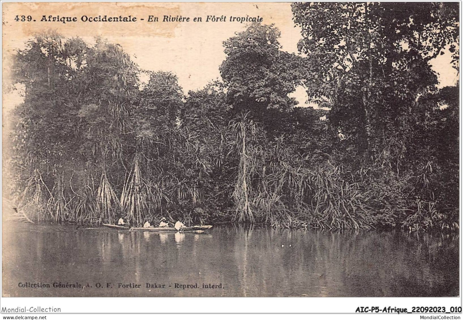 AICP5-AFRIQUE-0514 - AFRIQUE OCCIDENTALE - En Rivière En Forêt Tropicale - Unclassified