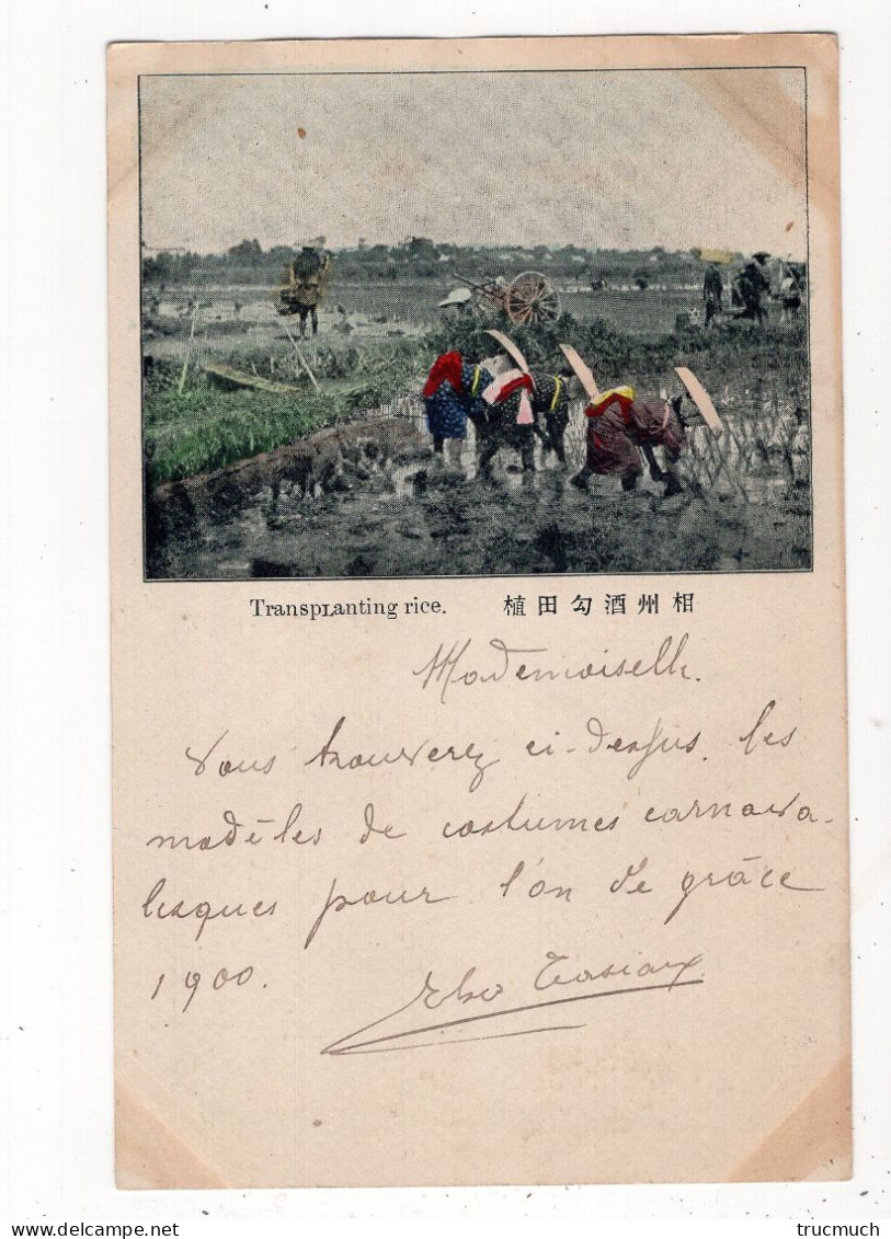 JAPON - Transplanting Rice *1899* - Andere & Zonder Classificatie