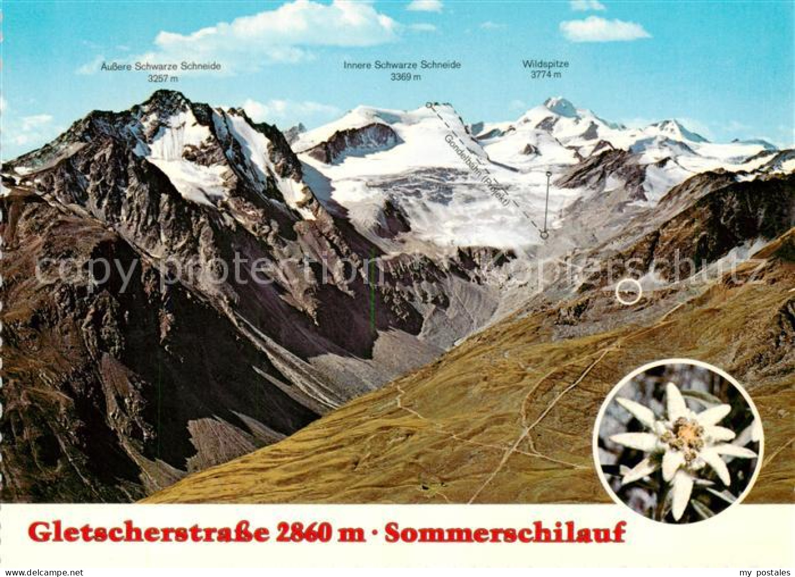 73791195 Soelden Oetztal AT Sommerskilauf Oetztaler Alpen Gletscher Edelweiss  - Sonstige & Ohne Zuordnung