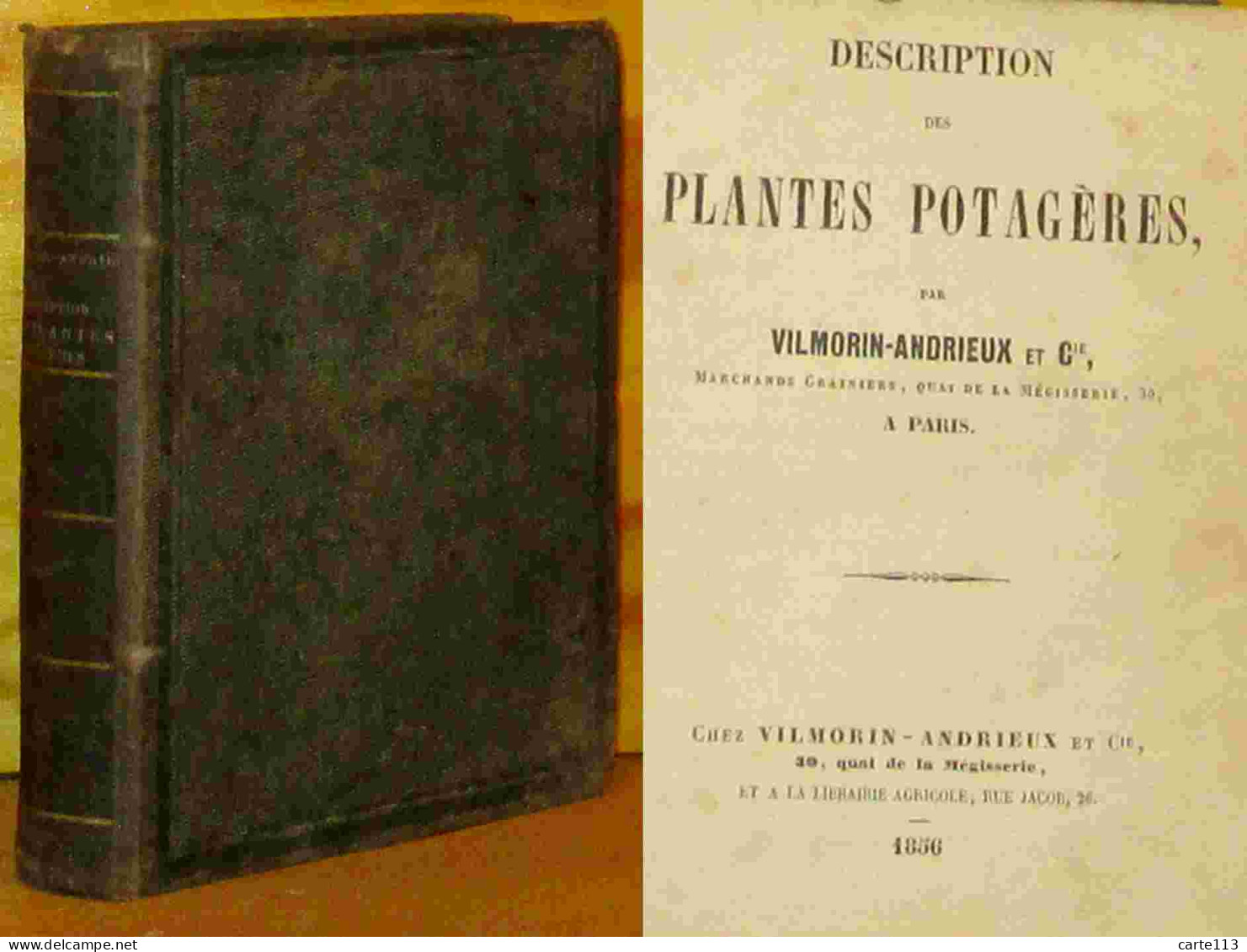 ANONYME  - DESCRIPTION DES PLANTES POTAGERES - 1801-1900