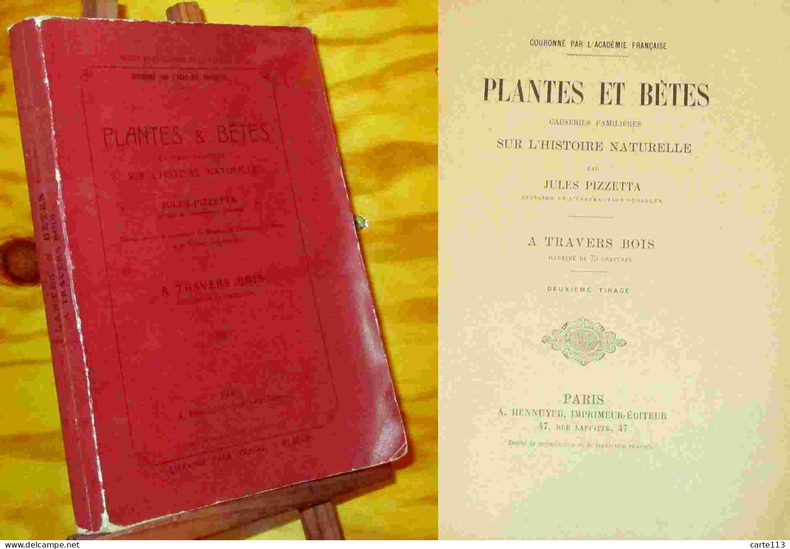 PIZZETTA  Jules - PLANTES ET BETES - CAUSERIES FAMILIERES SUR L'HISTOIRE NATURELLE - A - 1801-1900