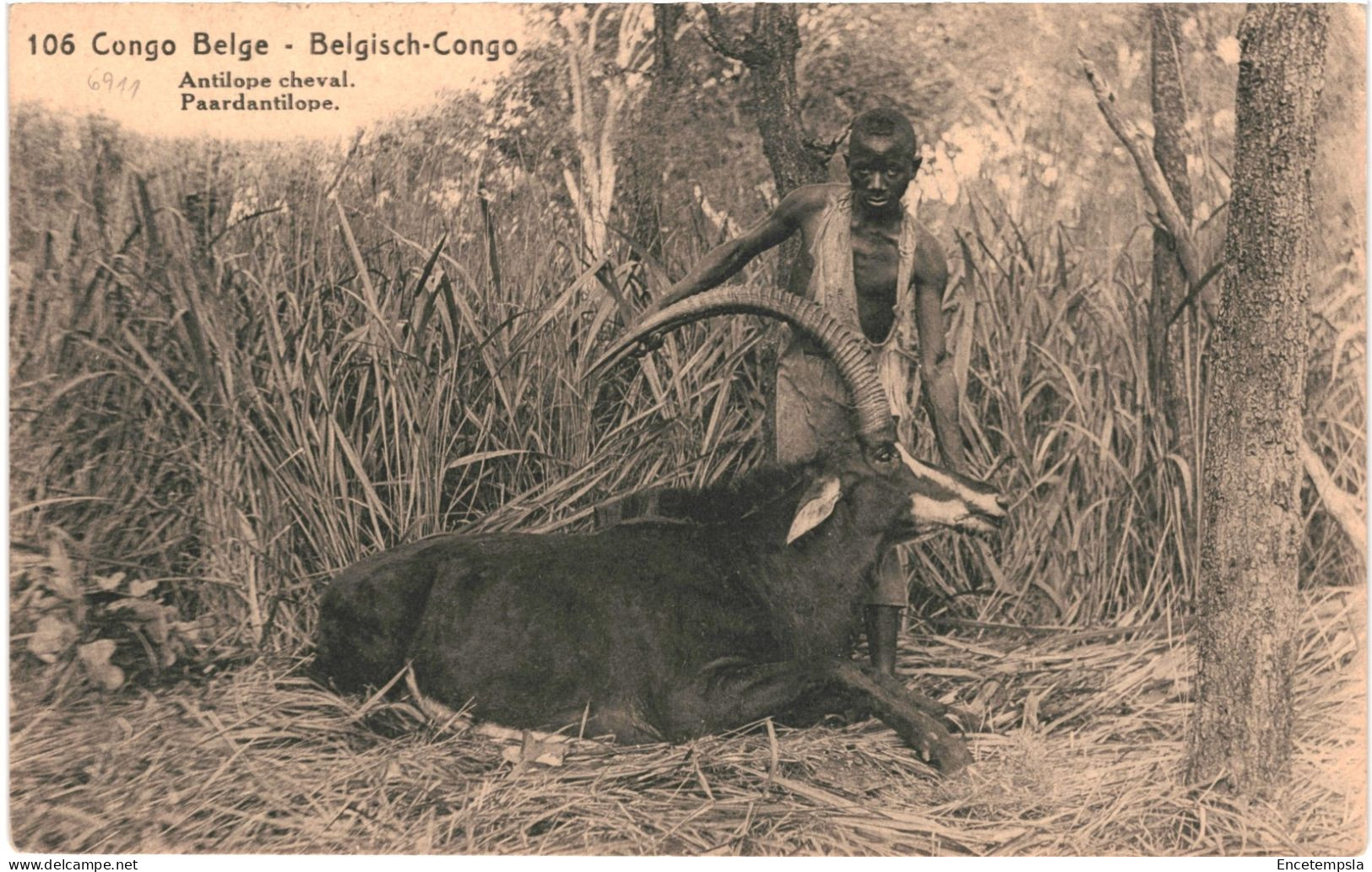 CPA Carte Postale Congo Kinshasa Antilope Cheval  VM80115ok - Otros & Sin Clasificación