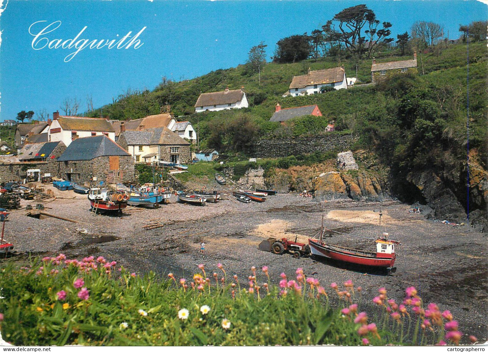 Navigation Sailing Vessels & Boats Themed Postcard Cadgwith Fishing Vessel - Segelboote