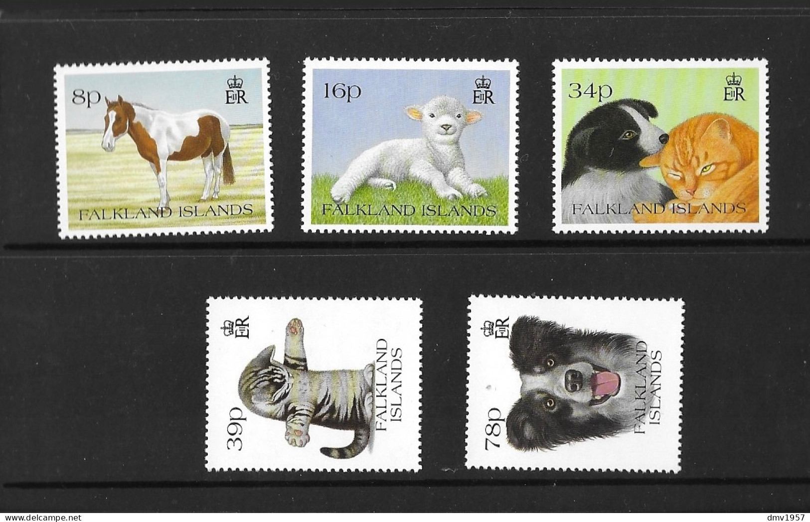 Falkland Islands 1993 MNH Pets Sg 691/5 - Falklandinseln