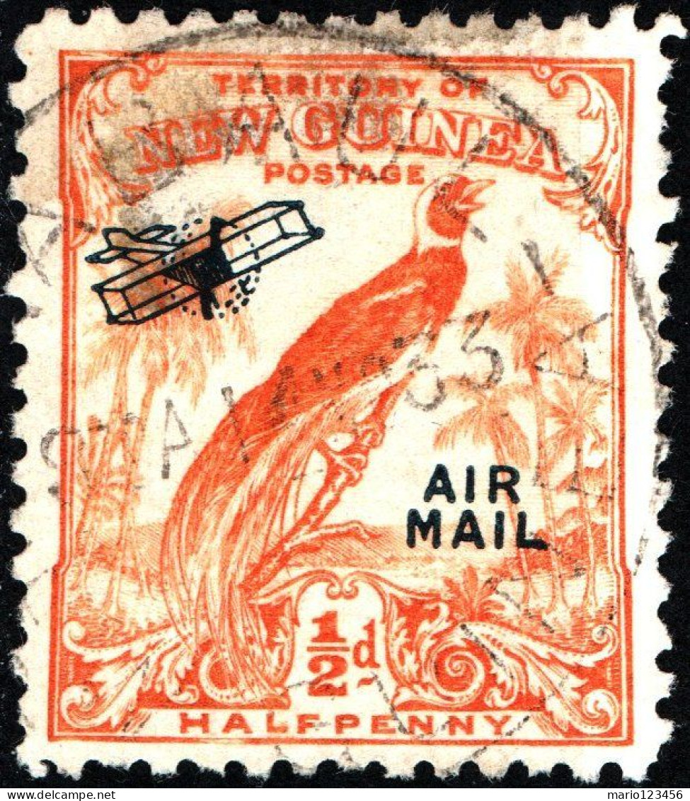 NUOVA GUINEA, NEW GUINEA, FAUNA, UCCELLI, BIRDS, 1931, USATI Scott:PG-NG C14, Yt:PG-NG PA14 - Papua New Guinea