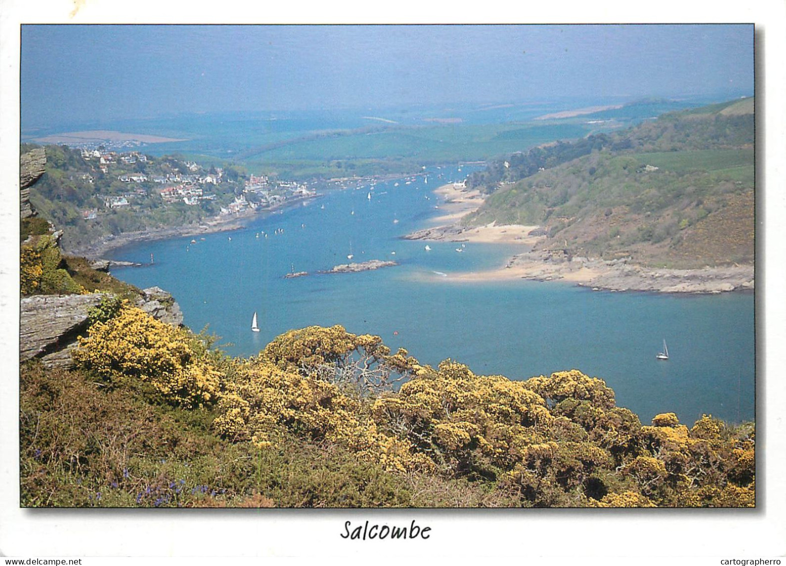 Navigation Sailing Vessels & Boats Themed Postcard Salcombe Sailboats - Sailing Vessels