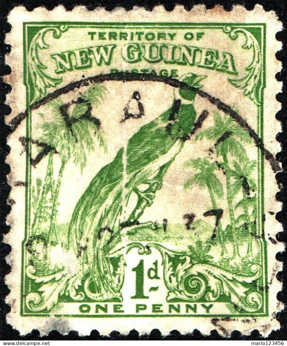 NUOVA GUINEA, NEW GUINEA, FAUNA, UCCELLI, BIRDS, 1931, USATI Scott:PG-NG 31, Yt:PG-NG 41 - Papua-Neuguinea