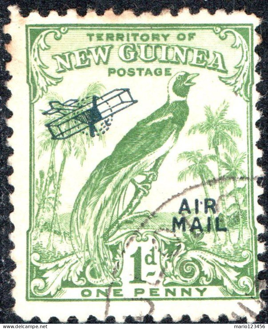 NUOVA GUINEA, NEW GUINEA, FAUNA, UCCELLI, BIRDS, 1931, USATI Scott:PG-NG C15 Yt:PG-NG PA15 - Papoea-Nieuw-Guinea